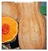 Foto 35 aprox - Butternut Rugosa Kürbiskerne - Cucurbita moschata In Originalverpackung Hergestellt in Italien - Wrinkled Pumpkins