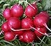 foto Plantree Crimson Giant: 200+ Nuovi Semi di ravanello Non OGM - Champion Cherry Belle Crimson Giant Scarlet Globe