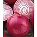Foto Shoopy Star 50 - Samen: Zwiebelsamen - 'Red Grano' - Eine sÃ¼ÃŸe & saftige rote Zwiebel !!! !!!!