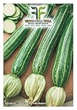 40 C.ca Semi Zucchino San Pasquale - Cucurbita Pepo In Confezione Originale Prodotto in Italia - Zucchine foto, miglior prezzo EUR 7,40 nuovo 2024