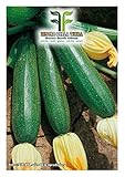 40 C.ca Semi Zucchino Ambassador Hybrid - Cucurbita Pepo In Confezione Originale Prodotto in Italia - Zucchine foto, miglior prezzo EUR 7,40 nuovo 2024