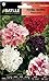 Foto Semillas de Flores - Petunia Triumph híbrida rizada variada - Batlle