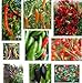 foto Collezione di semi di peperoncino - 10 confezioni, 10 varietà, 100 semi.