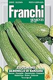 Portal Cool Semi Franchi d'Italia - Zucchine - Alberello di Sarzana - Semi foto, miglior prezzo EUR 9,99 nuovo 2024