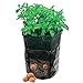 foto Moonvvin Garden Grow Bag,7 Gallon Heavy Duty Durevole Borsa con Manici Verdura Patate Sacchi per Patate, Carota, Cipolla e Verdure Fiore pianta