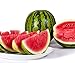 Foto Bobby-Seeds Melonensamen Viking F1 Wassermelone Portion