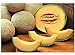 Foto Premier Seeds Direct MEL03 Cantaloupe Herz aus Gold MelonenSamen (Packung mit 100)