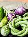 Foto Bunte Aubergine 20 Samen -Organic- 4 Sorten in 1 Packung /Aufregende Farben und Formen