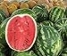 Foto Bobby-Seeds Melonensamen Crimson Sweet - Wassermelone 50 Korn