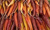 Mix di varieta multicolore di carote - NASTRO DI SEMI - 7 m di nastro di semi foto, miglior prezzo  nuovo 2024