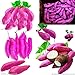 foto Pinkdose Giallo piante di patate dolci piante da giardino Bonsai Jicama/dolci frutta e verdura piante di patate per 20 Pz imballaggio di trasporto: viola
