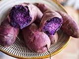 Shoopy Star 200 pezzi semi di patate dolci viola semi di yam semi di giardino e semi di ortaggi foto, miglior prezzo  nuovo 2024