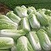 Foto Inovey 100 Stücke Chinese Delicious Kohlsamen Nahrhafte Grüne Gemüsesamen Brassica Pflanzen Garten