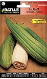 Semi ortaggi di Batlle - Zucca Luffa (Seeds) foto, miglior prezzo EUR 5,29 nuovo 2024