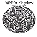 Foto Semillas de girasol rayadas Wildlife Kingdom, alimento prémium para loro, periquito salvaje, semillas de energía para pájaro de jardín