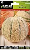 Semi Batlle – Melone foto, miglior prezzo EUR 7,62 nuovo 2024