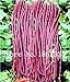 foto Pinkdose 20 pc/sacchetto cinese lungo fagioli Vigna unguiculata Semi, lungo Podded Cowpea Bean Snake Vegetable Seeds, Giardino lunghe Semini di fagiolo: 4