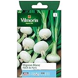 Vilmorin - Bustina semi Cipolle bianco presto de Paris foto, miglior prezzo  nuovo 2024