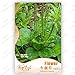 foto Garden Chinese semi di cavolo verdure, 10g / sacchetto del bambino cibo home & garden Semi di piante