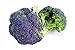 foto Broccoli Miranda semi - Brassica oleracea