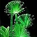 foto WuWxiuzhzhuo 100pcs rare smeraldo fluorescente semi di fiori, luce notturna che emettono piante da giardino 1