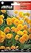 Foto Semillas de Flores - Coreopsis vivaz flor doble amarillo puro - Batlle