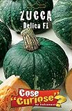 Portal Cool Zucca Delica F1 1 pacchetto semina 1 confezione di semi di zucca foto, miglior prezzo EUR 9,99 nuovo 2024