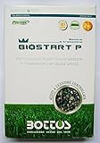 Concime Fertilizzante per Prato Bottos Bio Start 12-20-15- 25 Kg foto, miglior prezzo EUR 69,60 nuovo 2024