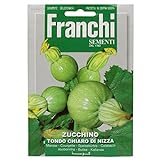 Seeds Of Italy Franchi Courgette rotonda di Nizza foto, miglior prezzo EUR 2,61 nuovo 2024