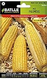 Battle - Semi Aromatici Mais per Pop Corn (Semi - 180Cm) foto, miglior prezzo EUR 5,32 nuovo 2024