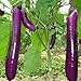 foto Rosepoem Adatto per piantare fattoria o casa Semi di melanzana viola lunga alta produzione 150PCS