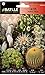 Foto Semillas de Flores - Cactus Plantas Crasas variadas - Batlle