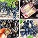 Foto Portal Cool 100Pcs / Bag: 100Pcs Rare Black Grape Finger UVA Semillas Bonsai Plantas Jardã­n Fruta W3Le