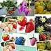 foto 1500 semi 15 tipi di semi di fragola nero, bianco, giallo, blu, rosso, giganti, arancio, pruple, verde giardino piante da frutto