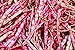 Foto Semillas de Borlotto de frijol enano - Phaseolus vulgaris - 40 semillas