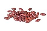 Bush Bean Red Kidney Bean Seeds Photo, best price $9.99 ($19.98 / Ounce) new 2024