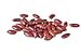 Photo Bush Bean Red Kidney Bean Seeds