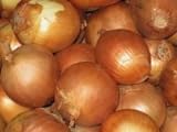 Onion Seeds- Sweet Yellow Spanish Heirloom- 250+ Seeds Photo, best price $4.39 new 2024