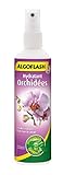 ALGOFLASH Hydratant Orchidées, Vaporisation 1 xfois par jour, 250 ml, AORCHYDRA250N Photo, meilleur prix 7,10 € (28,40 € / l) nouveau 2024