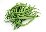Tendergreen Green Bean Seeds, 50 Heirloom Seeds Per Packet, Non GMO Seeds Photo, best price $5.79 ($0.12 / Count) new 2024