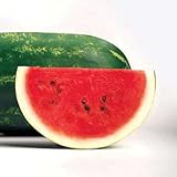 Park Seed Sangria Hybrid Watermelon Seeds, Pack of 10 Seeds Photo, best price $8.50 ($0.85 / Count) new 2024