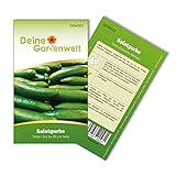 Salatgurke Tanja Samen - Cucumis sativus - Gurkensamen - Gemüsesamen - Saatgut für 8 Pflanzen Foto, bester Preis 1,99 € (0,25 € / stück) neu 2024