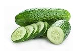 Bush Cucumber Seeds for Planting Outdoors Home Garden - Heirloom Vegetable Seeds - Bush Spacemaster Cucumber Photo, best price $5.98 new 2024