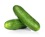 Spacemaster Cucumber Seeds, 100+ Heirloom Seeds Per Packet, (Isla's Garden Seeds), Non GMO Seeds, Botanical Name: Cucumis sativus, 85% Germination Rates Photo, best price $5.99 ($0.06 / Count) new 2024