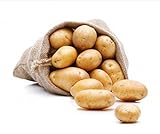 Kartoffel Belana festkochend 10kg deutsche Speisekartoffel Foto, bester Preis 9,90 € (0,99 € / kg) neu 2024