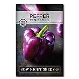 Sow Right Seeds - Purple Beauty Pepper Seed for Planting - Non-GMO Heirloom Packet with Instructions to Plant and Grow an Outdoor Home Vegetable Garden - Productive Sweet Bell Peppers - Great Gift Photo, best price $5.49 new 2024