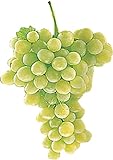5 graines de raisin blanc Raisins de table frais Photo, meilleur prix 13,97 € nouveau 2024