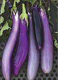 David's Garden Seeds Eggplant Ping Tung Long 7333 (Purple) 50 Non-GMO, Heirloom Seeds Photo, best price $3.95 new 2024