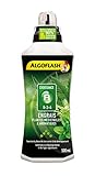 ALGOFLASH Engrais Plantes Médicinales & Aromatiques A Croissance 500 ml, ALITHEA500 Photo, meilleur prix 15,55 € (31,10 € / l) nouveau 2024
