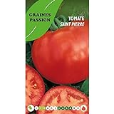 Graines passion bolsa de semillas tomate san pedro Foto, mejor precio 4,80 € nuevo 2024